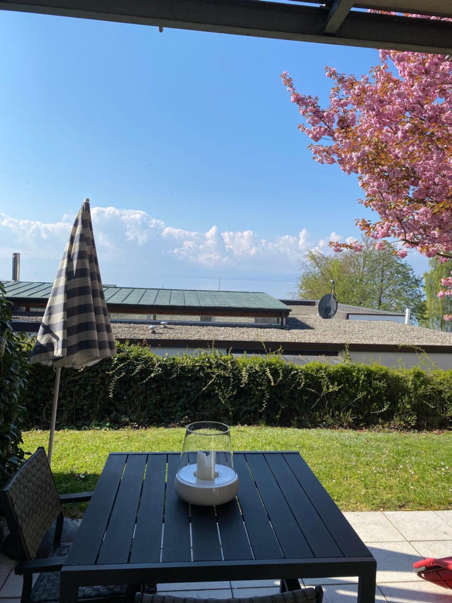 Kling Am Friedrichshafen